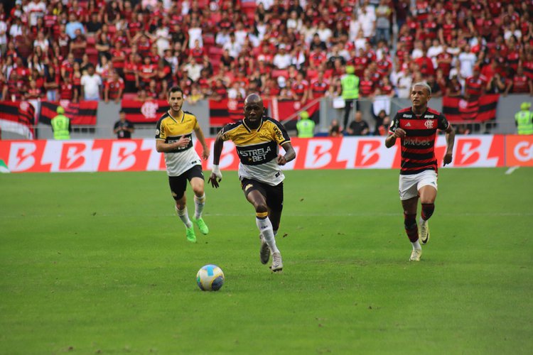 Pela 37a rodada do Campeonato Brasileiro, Tigre entra em campo pressionado e visando a permanência na elite do futebol nacional