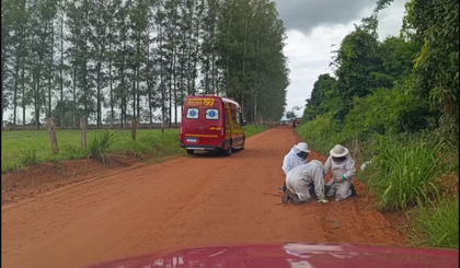 Vítima foi atacada por abelhas enquanto fugia da PRF. (Foto: Divulgação/Corpo de Bombeiros)