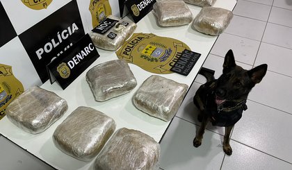 325345 (Foto: Divulgação/PC-PI)