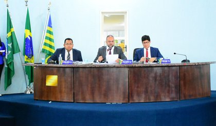 4356 (Foto: Divulgação/Câmara Municipal de Floriano)