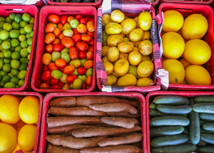 agricultura familiar