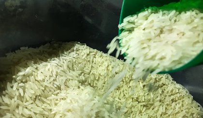 arroz (Foto: Marcello Casal Jr/Agência Brasil)
