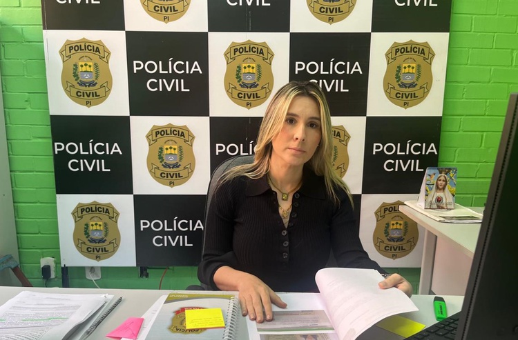 Delegada-titular da DPCA, Rosa Chaib