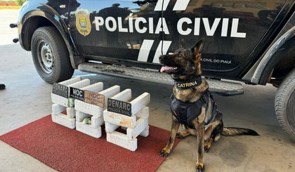 345435 (Foto: Divulgação/PC-PI)
