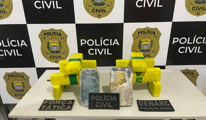 3466 (Foto: Divulgação/PC-PI)