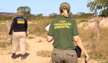 Operação Cerrado Vivo (Foto: Divulgação/Semarh)