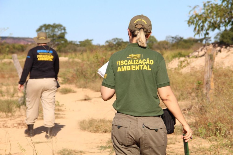 Operação Cerrado Vivo