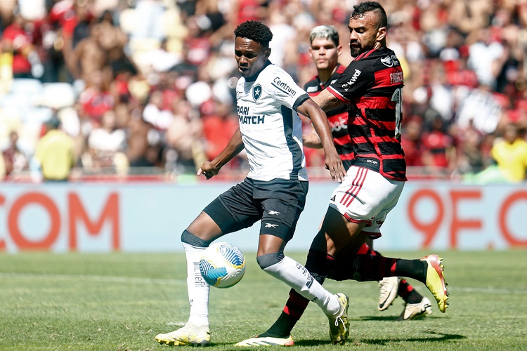 Botafogo recebe o Flamengo no domingo (18), às 18h30, no Nilton Santos