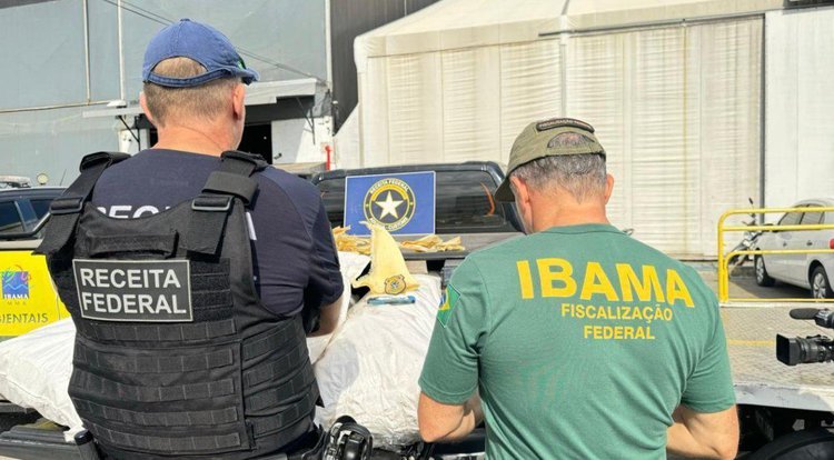 Barbatanas apreendidas no aeroporto de Fortaleza• Receita Federal/Divulgação