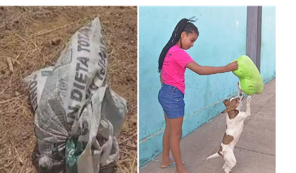 Menina de 9 anos resgata cachorrinha. (Foto: Reprodução/TV Anhanguera) Menina de 9 anos resgata cachorrinha. (Foto: Reprodução/TV Anhanguera)