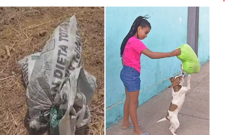 Menina de 9 anos resgata cachorrinha.