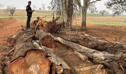 Multa ambiental de mais de R$ 400 mil é aplicada após denúncia anônima no PR | CNN Brasil (Foto: Créditos: CNN Brasil)