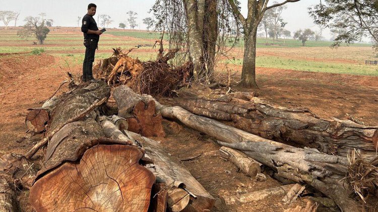 Multa ambiental de mais de R$ 400 mil é aplicada após denúncia anônima no PR | CNN Brasil
