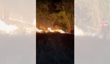 Rio de Janeiro registrou mais de 16 mil incêndios florestais em 2024 | CNN Brasil (Foto: Créditos: CNN Brasil)
