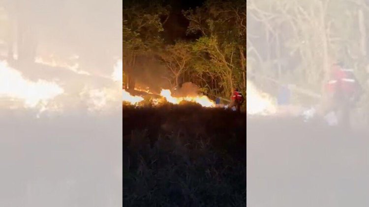 Rio de Janeiro registrou mais de 16 mil incêndios florestais em 2024 | CNN Brasil