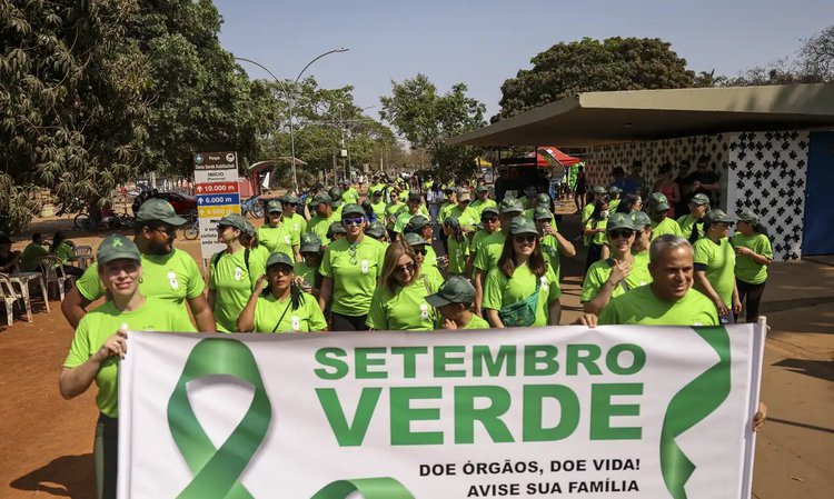 Setembro Verde