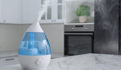 umidificador de ar (Foto: Reprodução)