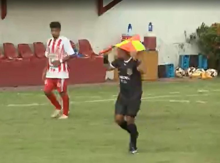 Abelhas invadem estádio, atacam atletas, torcida e arbitragem e paralisam estreia do estadual