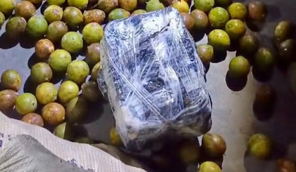 Drogas são encontradas em meio a carga de tucumã. (Foto: Divulgação/SSP-AM)