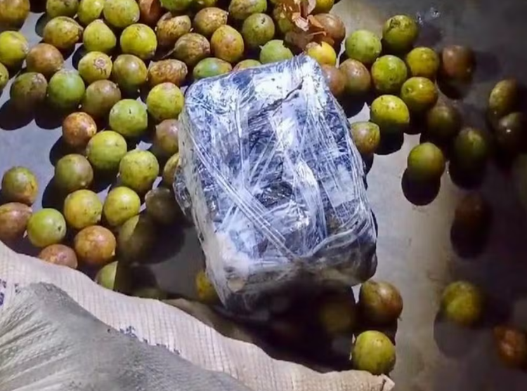 Drogas são encontradas em meio a carga de tucumã.