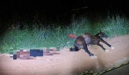 Jovem de 14 anos que cavalgava morre após cavalo pisar em fio caído; animal também morreu (Foto: Reprodução) Jovem de 14 anos que cavalgava morre após cavalo pisar em fio caído; animal também morreu (Foto: Reprodução)