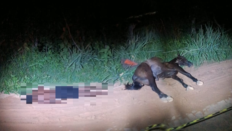 Jovem de 14 anos que cavalgava morre após cavalo pisar em fio caído; animal também morreu