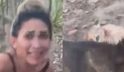 Mulher tortura e filma morte de onça-parda (Foto: Reprodução/Itatiaia/Redes Sociais) Mulher tortura e filma morte de onça-parda (Foto: Reprodução/Itatiaia/Redes Sociais)