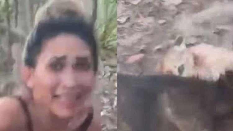 Mulher tortura e filma morte de onça-parda