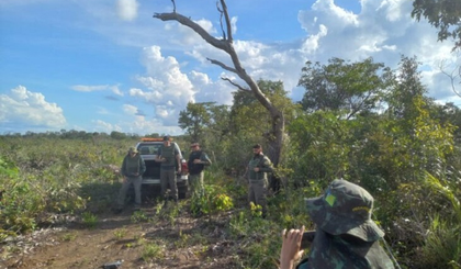 Na prática, segundo ambientalistas, a mudança deixará uma área maior suscetível ao desmatamento. Isso porque com a queda do porcentual de reserva legal, produtores rurais poderão expandir suas áreas agrícolas sobre a vegetação. (Foto: Divulgação / Semarh) Na prática, segundo ambientalistas, a mudança deixará uma área maior suscetível ao desmatamento. Isso porque com a queda do porcentual de reserva legal, produtores rurais poderão expandir suas áreas agrícolas sobre a vegetação. (Foto: Divulgação / Semarh)