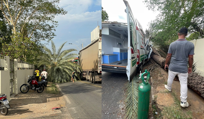 Uma palmeira caiu e atingiu uma ambulância que trafegava pela BR-343 (Foto: Reprodução/Redes Sociais) Uma palmeira caiu e atingiu uma ambulância que trafegava pela BR-343 (Foto: Reprodução/Redes Sociais)
