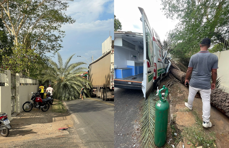 Uma palmeira caiu e atingiu uma ambulância que trafegava pela BR-343