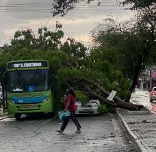Ventos fortes e quedas de árvores deixam 20 mil residências sem energia elétrica em Teresina (Foto: Reprodução) Ventos fortes e quedas de árvores deixam 20 mil residências sem energia elétrica em Teresina (Foto: Reprodução)