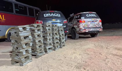 250 kg de skank são apreendidos em ônibus no Piauí. (Foto: Divulgação/SSP-PI)
