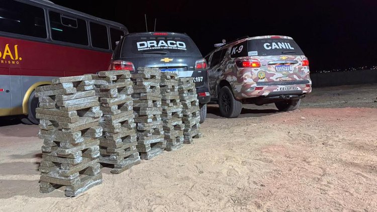 250 kg de skank são apreendidos em ônibus no Piauí.