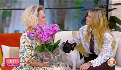 Ana Maria Braga chora ao relembrar encontro com Carolina Dieckmmann durante tratamento de câncer, em 2001 (Foto: reproduções redes sociais) Ana Maria Braga chora ao relembrar encontro com Carolina Dieckmmann durante tratamento de câncer, em 2001 (Foto: reproduções redes sociais)
