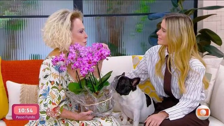 Ana Maria Braga chora ao relembrar encontro com Carolina Dieckmmann durante tratamento de câncer, em 2001