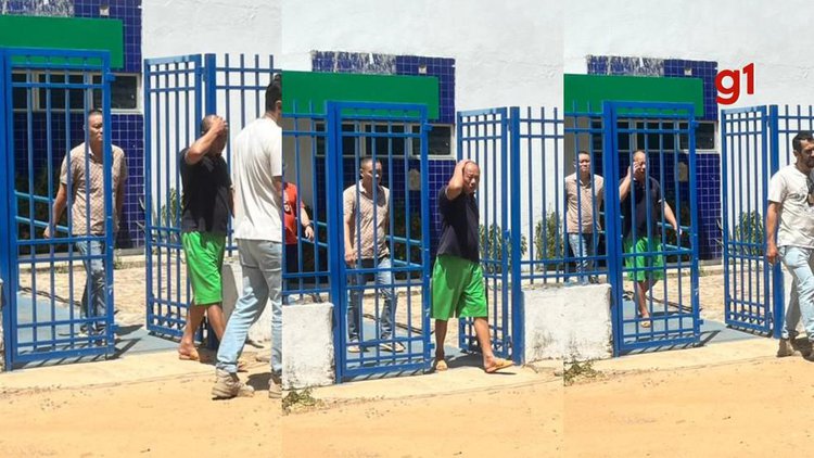 Chineses presos por causa de barbatanas e cavalos-marinhos são liberados.