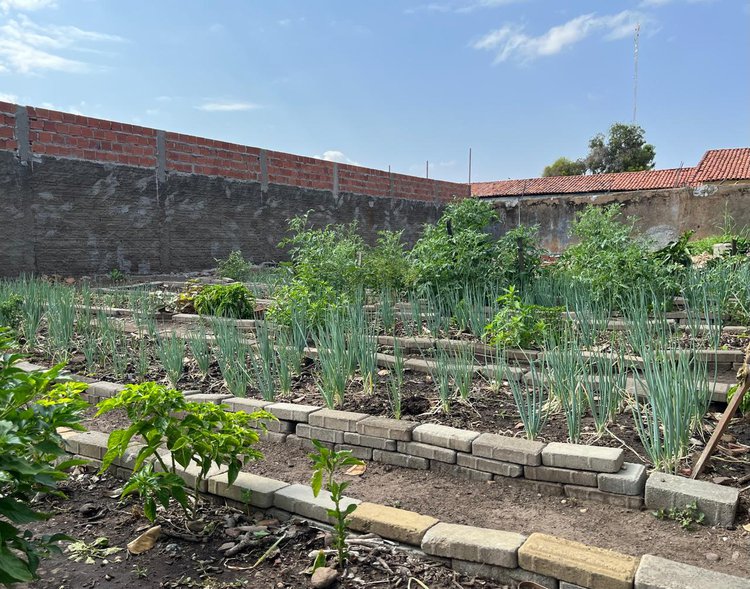 Horta comunitária na Vila Ferroviária promove renda, integração e sustentabilidade