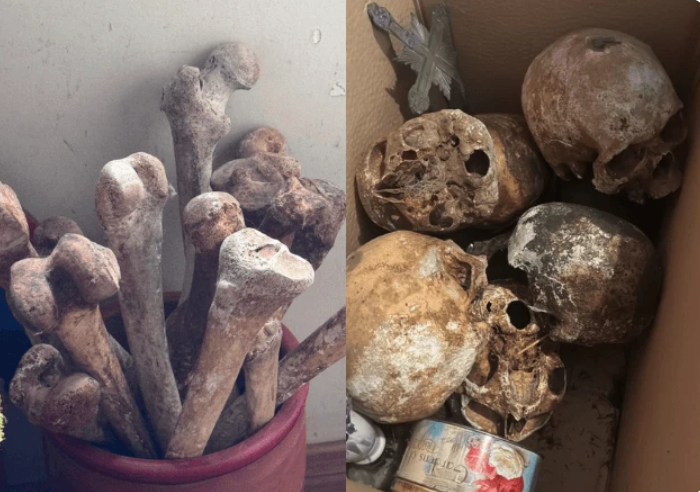 Mais de 12 crânios foram localizados em endereço na zona oeste de SP; perícia analisa o caso