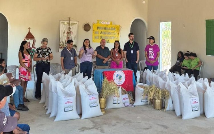 Piauí: SAF distribui sementes de arroz a agricultores familiares.