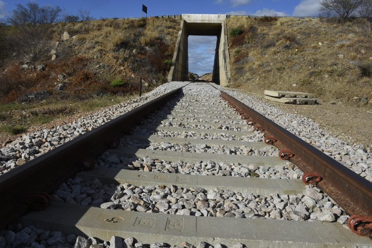 Viagem inaugural da Transnordestina entre o Piauí e o Ceará acontece na sexta (24).