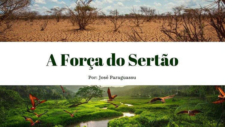 A força do sertão
