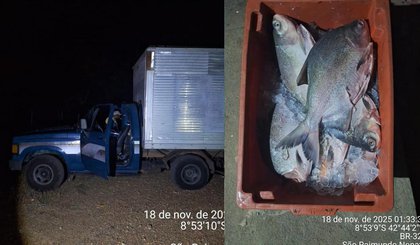 Carga de 1 tonelada de peixe é apreendida em São Raimundo Nonato. (Foto: Polícia Militar) Carga de 1 tonelada de peixe é apreendida em São Raimundo Nonato. (Foto: Polícia Militar)