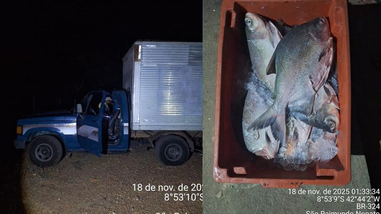 Carga de 1 tonelada de peixe é apreendida em São Raimundo Nonato.