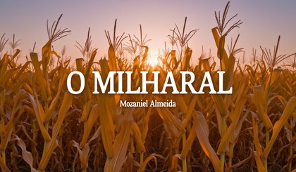 O milharal (Foto: Gerado por IA)