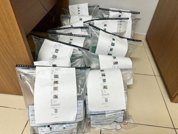 Operação Carbono Oculto: placas com suspeita de fraude são encaminhadas para perícia.