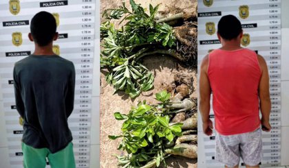 Suspeitos são detidos por furto de 50 rosas do deserto. (Foto: Reprodução)