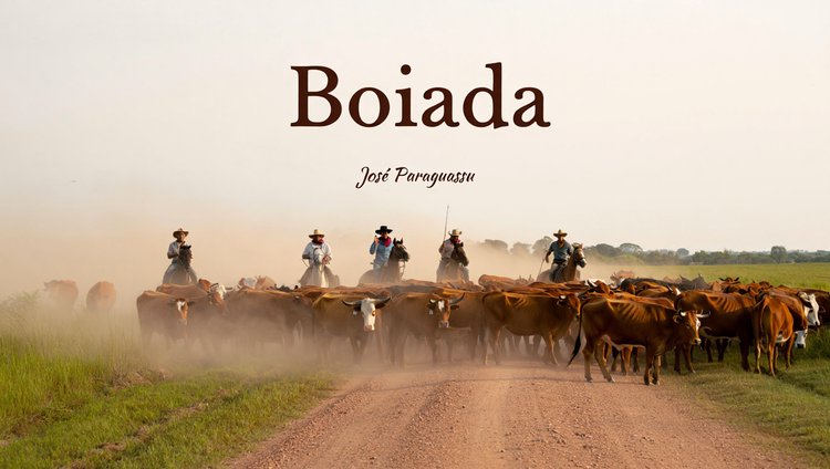 Boiada