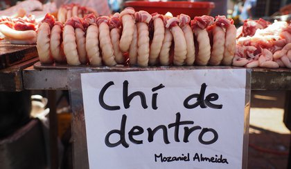 Chã de dentro (Foto: Gerado por IA)