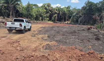 Fiscais descobrem desmatamento ilegal em Teresina. (Foto: Divulgação/Semarh) Fiscais descobrem desmatamento ilegal em Teresina. (Foto: Divulgação/Semarh)